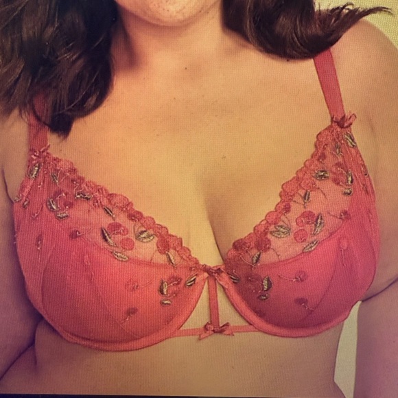 Cacique - Lane Bryant Red Cherries Lightly Lined French Balconette Bra 42DDD - Picture 8 of 8